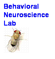 Text Box: Behavioral Neuroscience 
Lab

