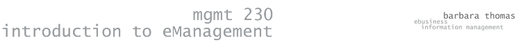 mgmt 230 introduction to eManagement