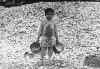 Hine.oystershucker.boy.photo.jpg (99364 bytes)