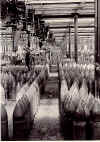 photo.women.BR.muitions.craneoperators.jpg (67296 bytes)